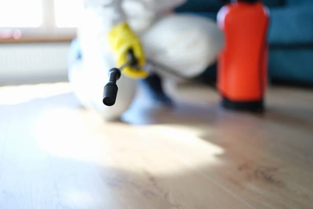 Best Mold Removal for HVAC Installations  in South San Jose Hills, CA