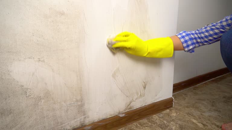 Best Dehumidification Services  in South San Jose Hills, CA